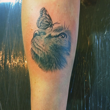 Алексей Полянцев, Киев Фото - 41