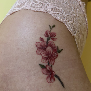 Butterfly, Чернівці Фото - 20