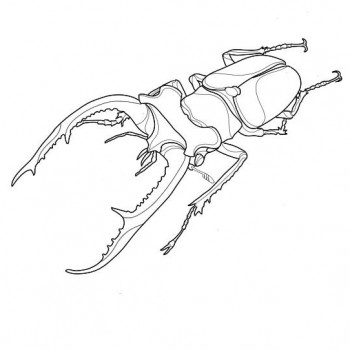 Євгеній Кучерявий, Київ Фото - 2