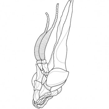 Євгеній Кучерявий, Київ Фото - 3