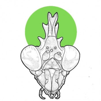 Євгеній Кучерявий, Київ Фото - 6