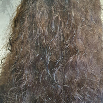 Завивка та біо-завивка
                    Жіночий перукар Олена Луцьк