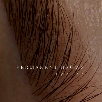 Пудрове напилення брів
                    Бровист Зоряна Тернополь