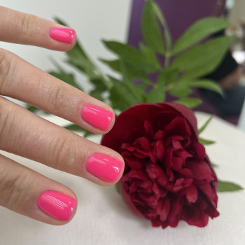 Манікюр, фото - Салон краси Міледі