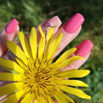 Анна Гасанова, Запоріжжя Фото - 6