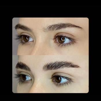 Les Salon, Житомир Фото - 9