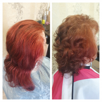 Звичайна завивка