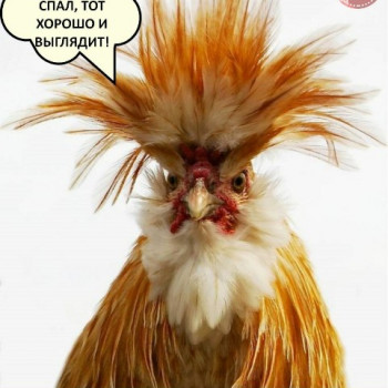 Альона Черненко, Одеса Фото - 7