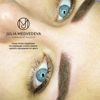 Перманентный макияж (татуаж) - бровей
                    Бровист Юлия Харьков
