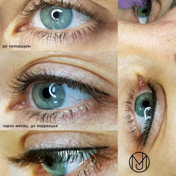 Перманентный макияж (татуаж) - межресничка
                    Бровист Юлия Харьков