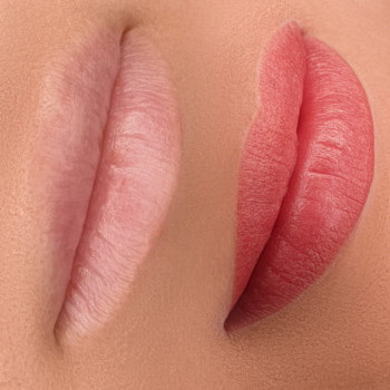 Black Cherry, Днепр Фото - 5