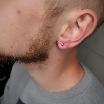 Black Cherry, Днепр Фото - 29