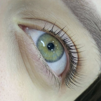 Ламинирование ресниц
                    Бровист Татьяна Киев