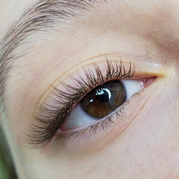 Классика, коричневые, С