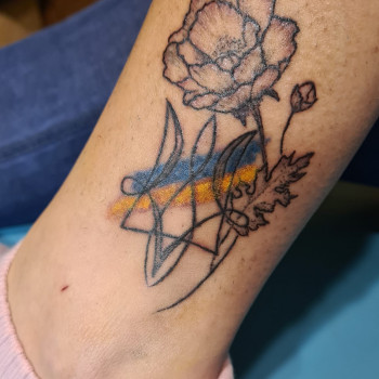 Сергiй , Кривий Ріг Фото - 78