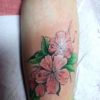 Рамис Хафизов, Киев Фото - 7