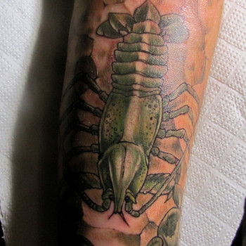 Рамис Хафизов, Киев Фото - 11