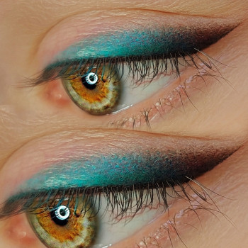 Цветная растушка век