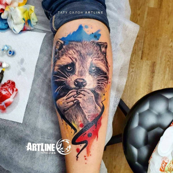 кольорові, акварель, black&grey, єнот
