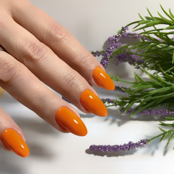 Ирина Примина, Бровары Фото - 16