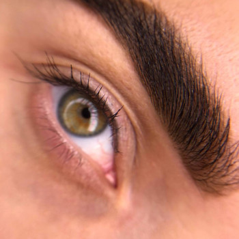 Брови (корекція + фарбування)
                    Салон краси Total Look Дніпро