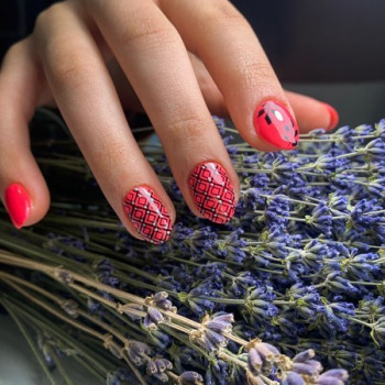 Provence, Ирпень Фото - 22