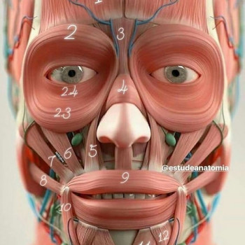 Радiон Кухар, Одеса Фото - 3