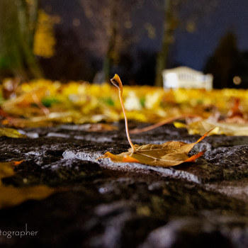 Олена Косцова, Червоноград Фото - 50