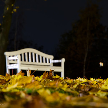 Олена Косцова, Червоноград Фото - 51