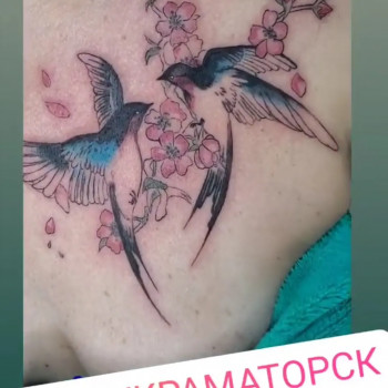 Мини тату
                    Майстер перманентного макіяжу Оксана Київ