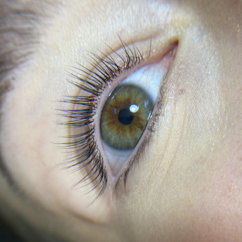 Ламінування вій + фарбування