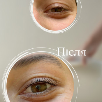 Ламинирование ресниц + окрашивание + ботокс
                    Лешмейкер Елена Дніпро