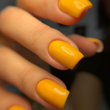 Іріс, Тернополь Фото - 33