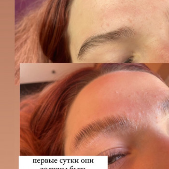 долговременная укладка бровей. составы thuya