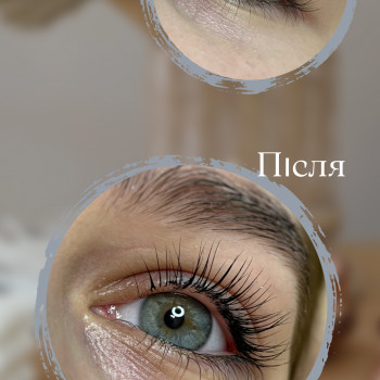Ламинирование ресниц + окрашивание + ботокс
                    Лешмейкер Елена Дніпро