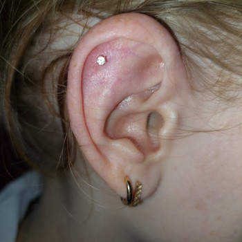 Пирсинг, прокол ушей, пупка, микродермал Александрия
                    Салон красоты LASH&BEAUTY STUDIO Александрия