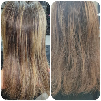 Реконструкція/відновлення волосся
                    Парикмахер-колорист Олеся Днепр