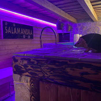 SALAMANDRA Spa, Івано-Франківськ Фото - 17