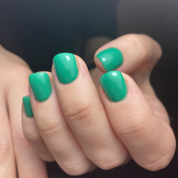 Provance, Киев Фото - 20