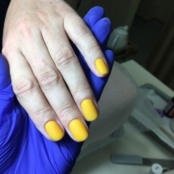 Provance, Киев Фото - 30