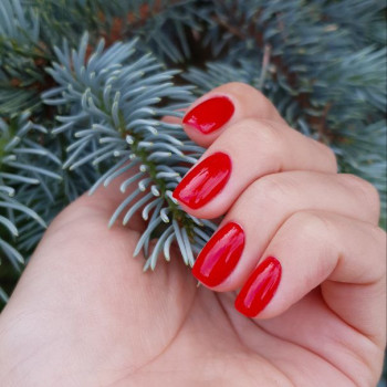 Ольга , Запоріжжя Фото - 16