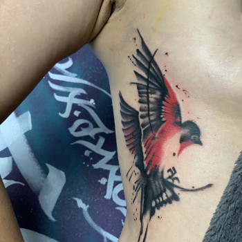 Олександр Кусяк, Чернівці Фото - 18