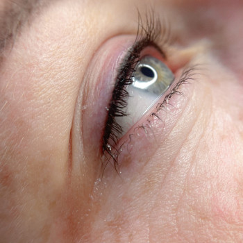 Перманент міжвійки
                    Бровист Елена Днепр