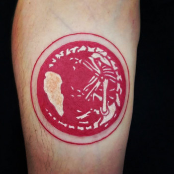 Елена Вайс, Дніпро Фото - 43