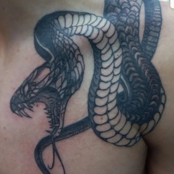 Тату змея, фото - Парикмахер-колорист Елена Вайс