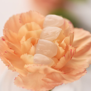 МістоДент, Львов Фото - 16