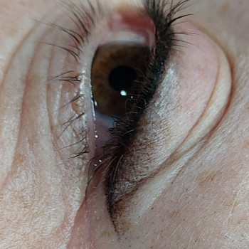 Аліна Місінцова, Хмельницкий Фото - 54