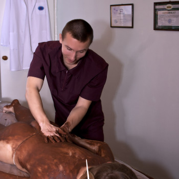 Дмитро Баранівський, Винница Фото - 12