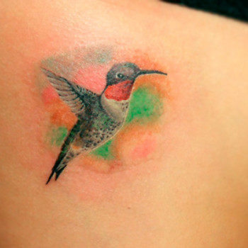 тату колібрі кольорове