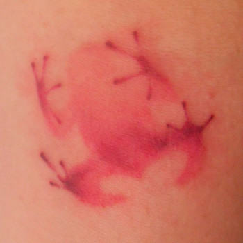 тату силует жабки